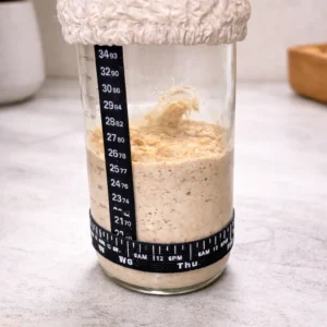 sourdough starter